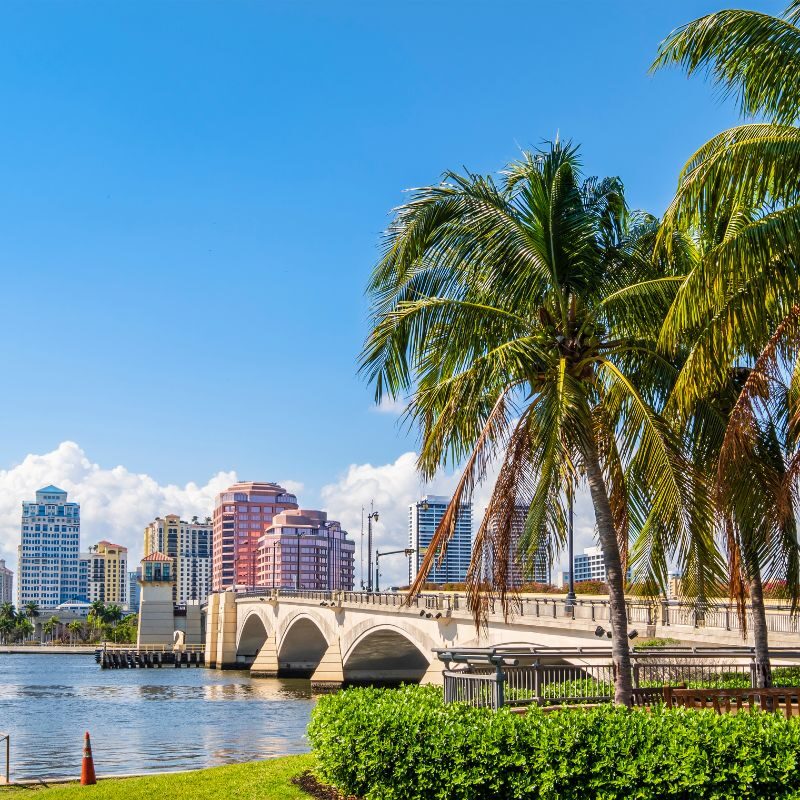 orthodontist in westchase florida